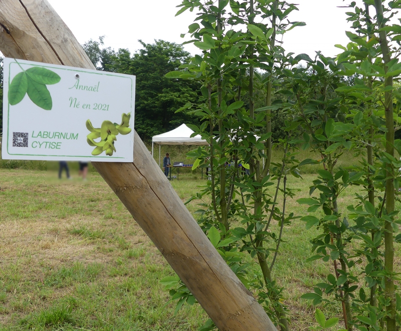 L'arboretum de la vallée de la Seiche