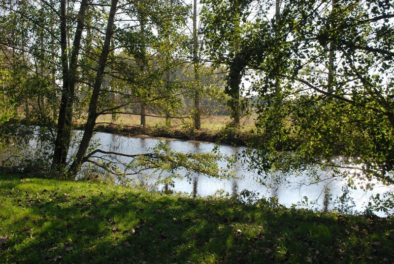 Vallée de la Seiche