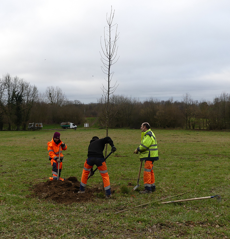 Plantations de février 2022