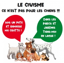 Le respect du domaine public