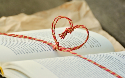 Comité de lecture