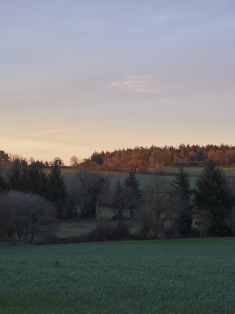 Exposition "Les horizons, cartographie des possibles"